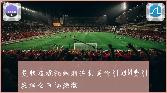 曼联追逐托纳利热刺高价引进M费引发转会市场热潮